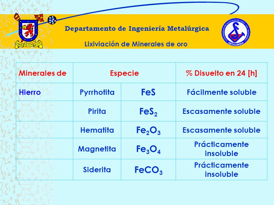 FeS FeS2 Fe2O3 Fe3O4 FeCO3 Minerales de Especie % Disuelto en 24 [h]