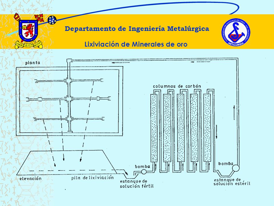 Departamento de Ingeniería Metalúrgica Lixiviación de Minerales de oro