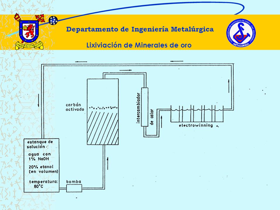 Departamento de Ingeniería Metalúrgica Lixiviación de Minerales de oro