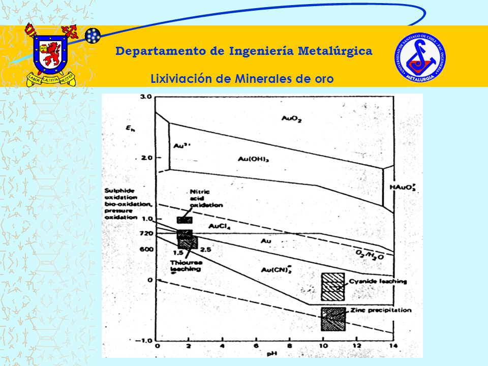 Departamento de Ingeniería Metalúrgica Lixiviación de Minerales de oro
