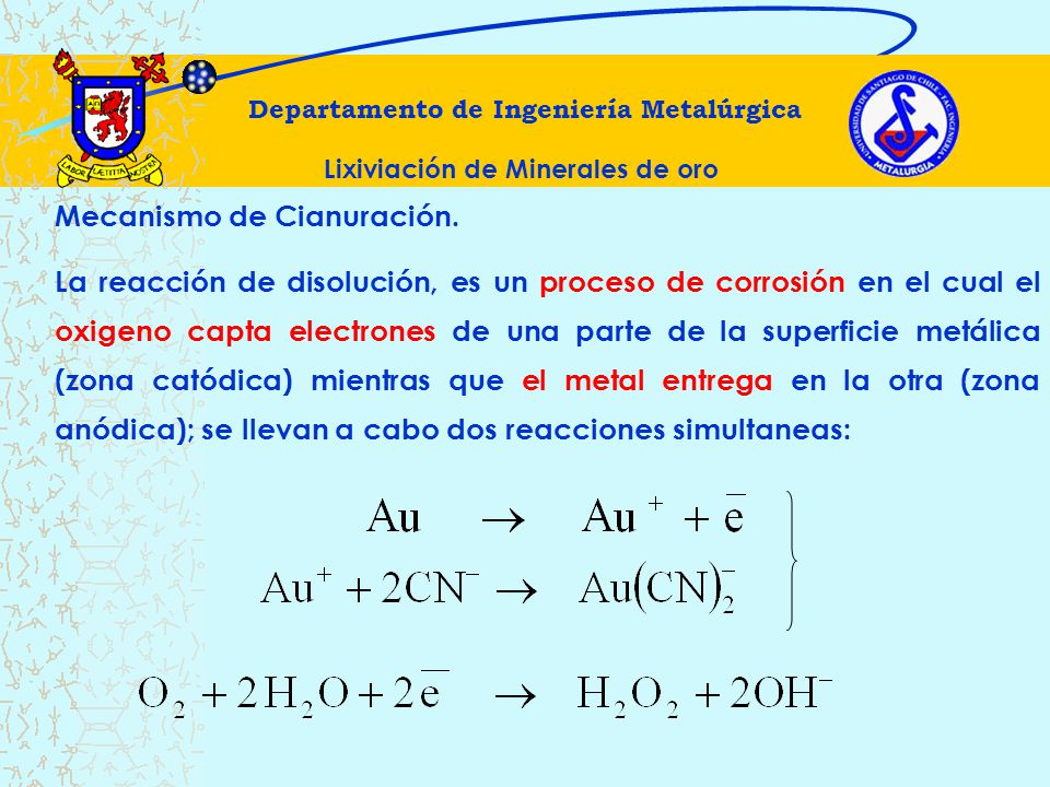 Departamento de Ingeniería Metalúrgica Lixiviación de Minerales de oro