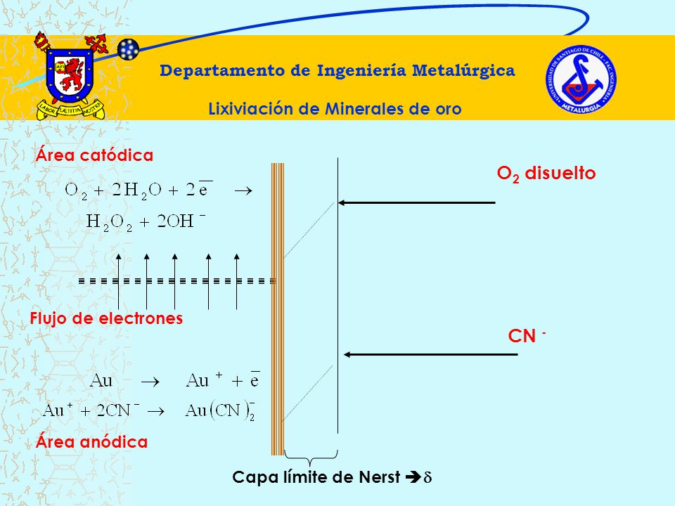 Departamento de Ingeniería Metalúrgica Lixiviación de Minerales de oro