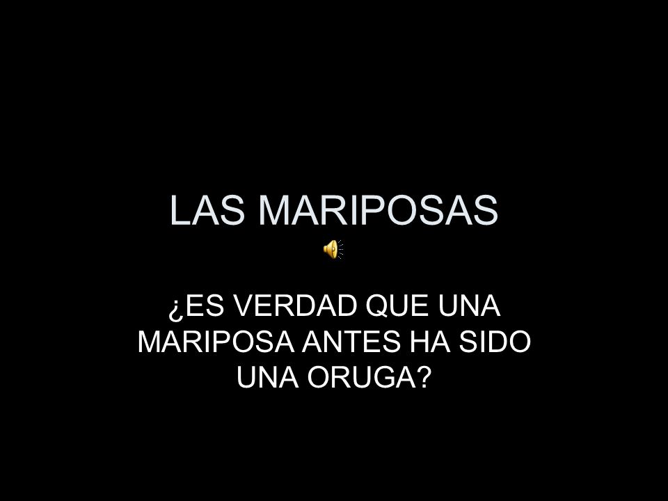 ¿ES VERDAD QUE UNA MARIPOSA ANTES HA SIDO UNA ORUGA