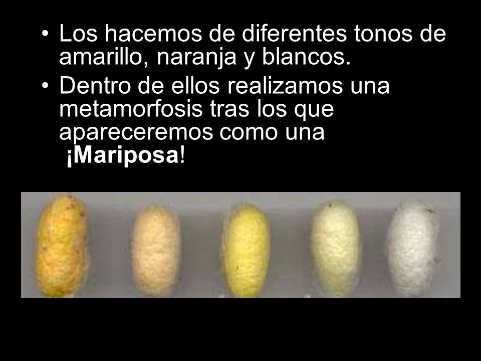 Los hacemos de diferentes tonos de amarillo, naranja y blancos.