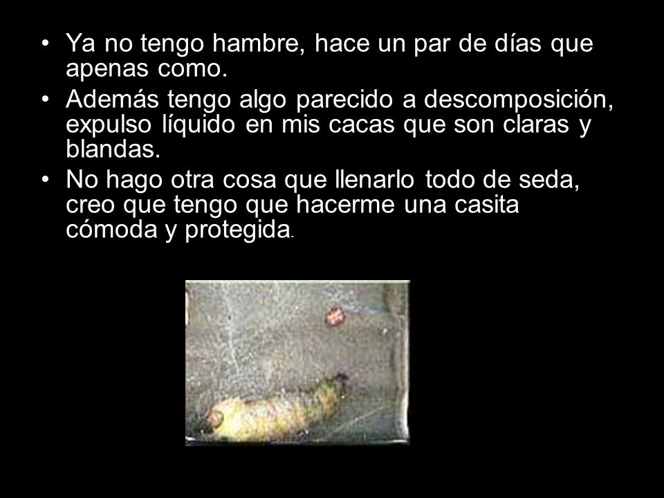 Ya no tengo hambre, hace un par de días que apenas como.