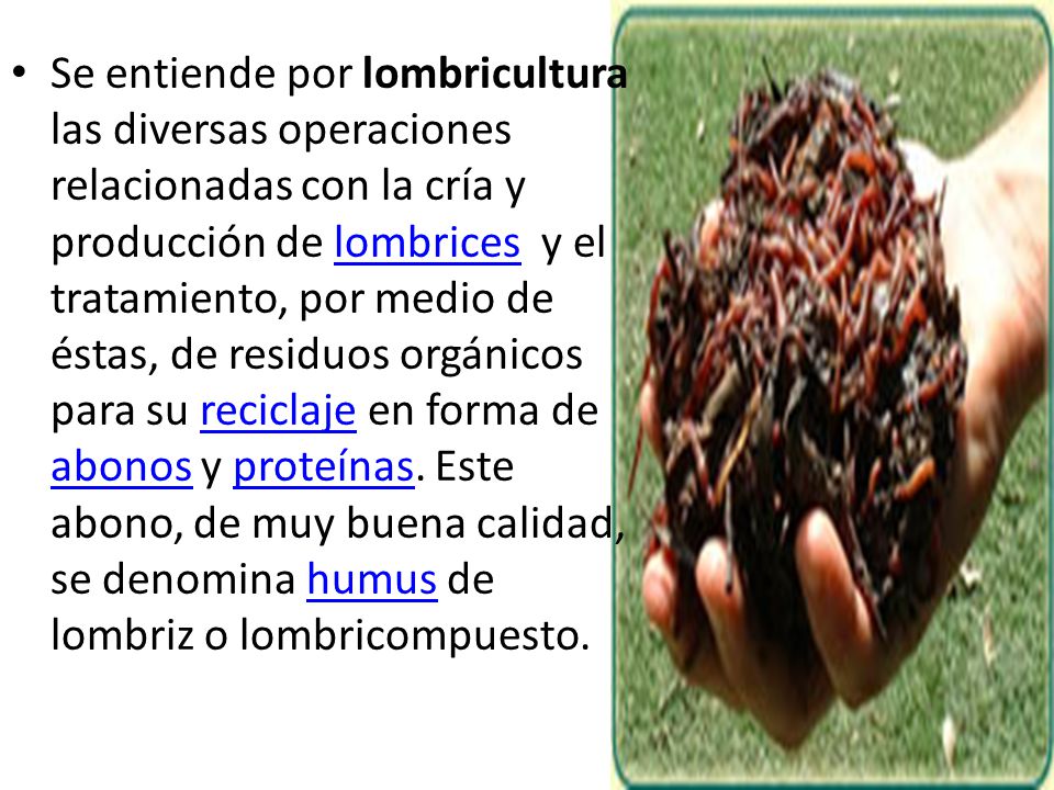 Se entiende por lombricultura las diversas operaciones relacionadas con la cría y producción de lombrices y el tratamiento, por medio de éstas, de residuos orgánicos para su reciclaje en forma de abonos y proteínas.