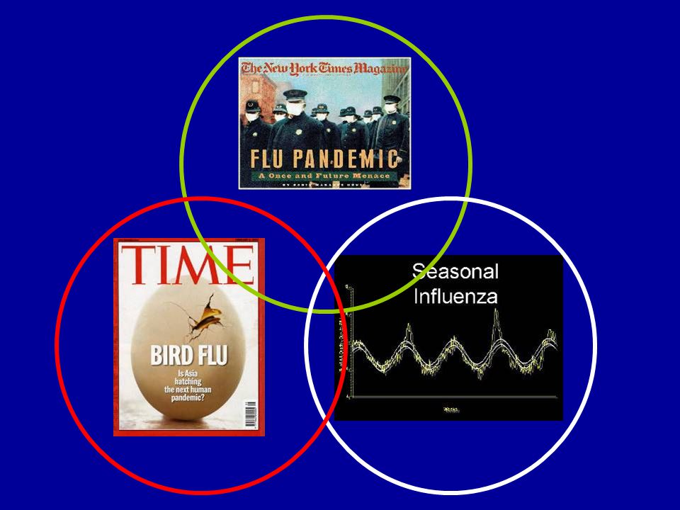 Although inter-related, avian influenza, human influenza and pandemic influenza must be understood as distinct entities.