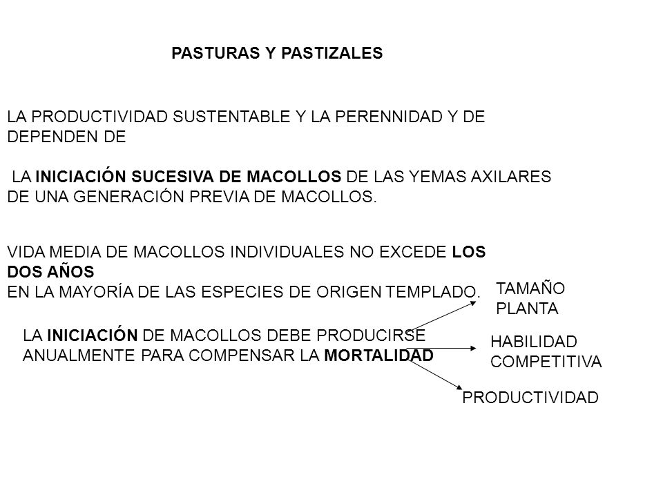 PASTURAS Y PASTIZALES LA PRODUCTIVIDAD SUSTENTABLE Y LA PERENNIDAD Y DE DEPENDEN DE. LA INICIACIÓN SUCESIVA DE MACOLLOS DE LAS YEMAS AXILARES.
