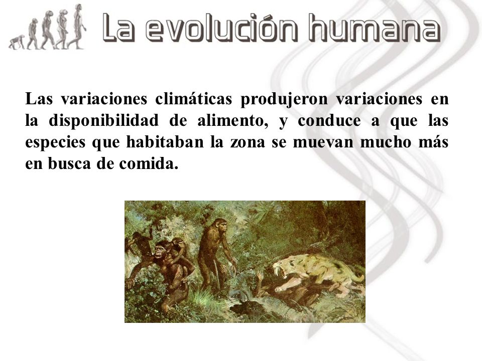 Las variaciones climáticas produjeron variaciones en la disponibilidad de alimento, y conduce a que las especies que habitaban la zona se muevan mucho más en busca de comida.