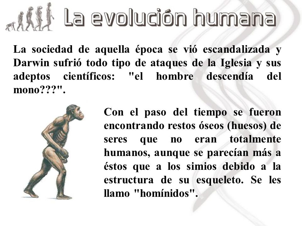 La sociedad de aquella época se vió escandalizada y Darwin sufrió todo tipo de ataques de la Iglesia y sus adeptos científicos: el hombre descendía del mono .