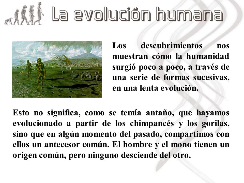 Los descubrimientos nos muestran cómo la humanidad surgió poco a poco, a través de una serie de formas sucesivas, en una lenta evolución.
