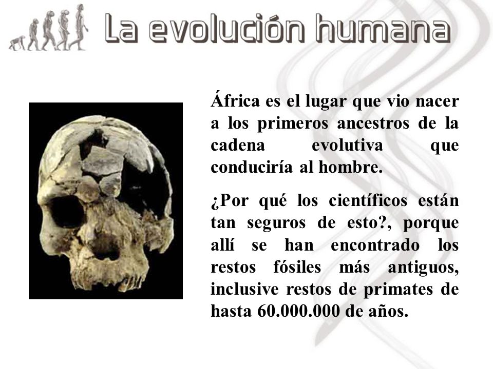África es el lugar que vio nacer a los primeros ancestros de la cadena evolutiva que conduciría al hombre.