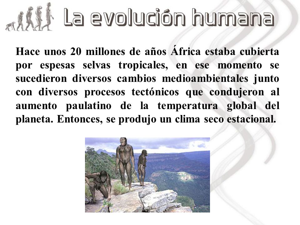 Hace unos 20 millones de años África estaba cubierta por espesas selvas tropicales, en ese momento se sucedieron diversos cambios medioambientales junto con diversos procesos tectónicos que condujeron al aumento paulatino de la temperatura global del planeta.
