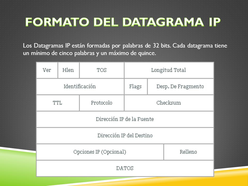 Formato del Datagrama IP