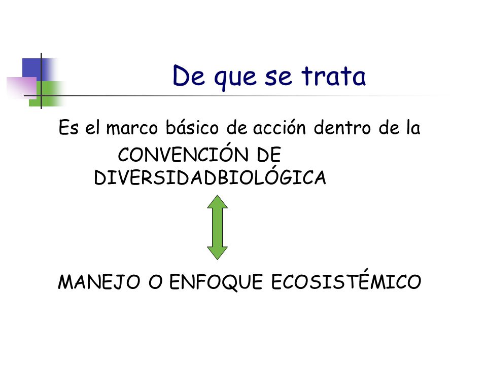 De que se trata Es el marco básico de acción dentro de la