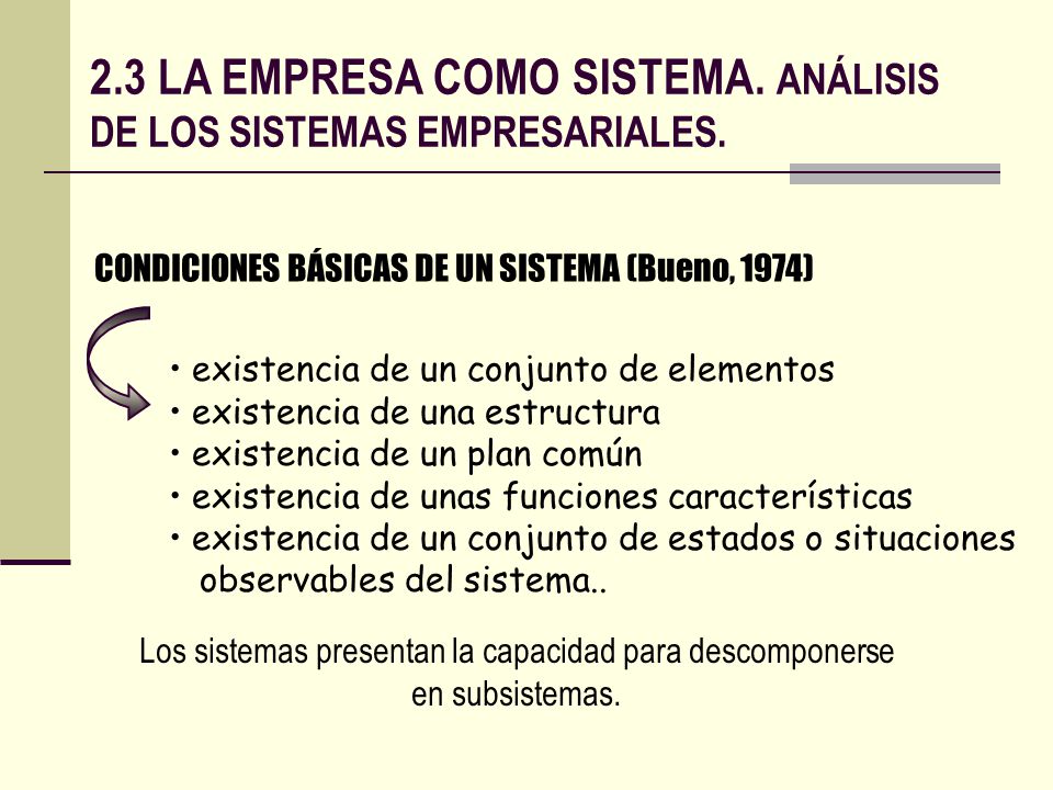 2.3 LA EMPRESA COMO SISTEMA. ANÁLISIS DE LOS SISTEMAS EMPRESARIALES.