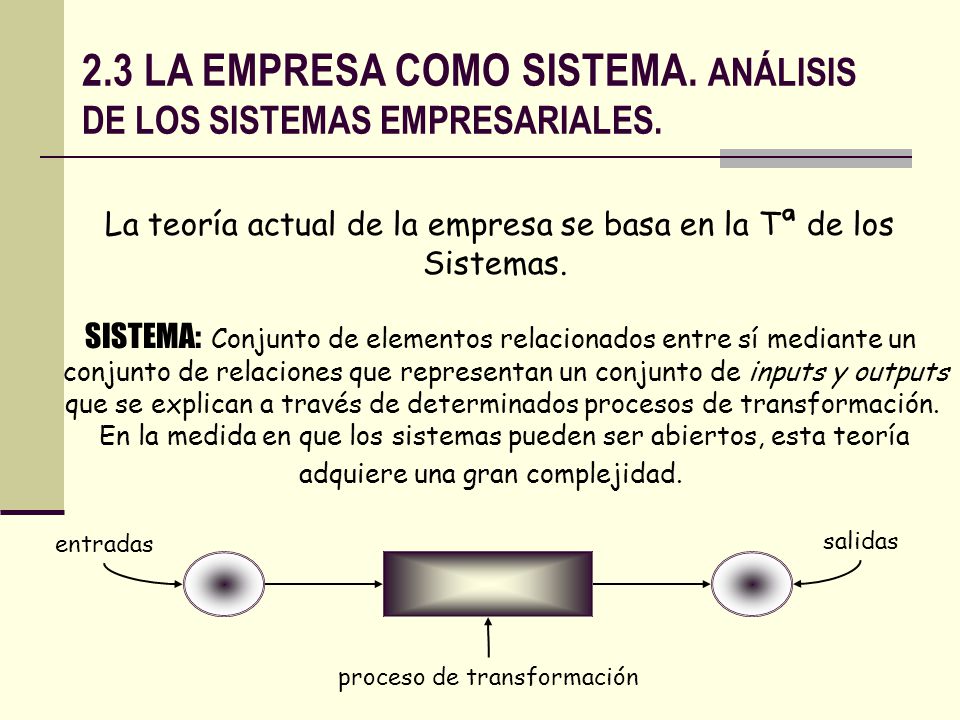 2.3 LA EMPRESA COMO SISTEMA. ANÁLISIS DE LOS SISTEMAS EMPRESARIALES.