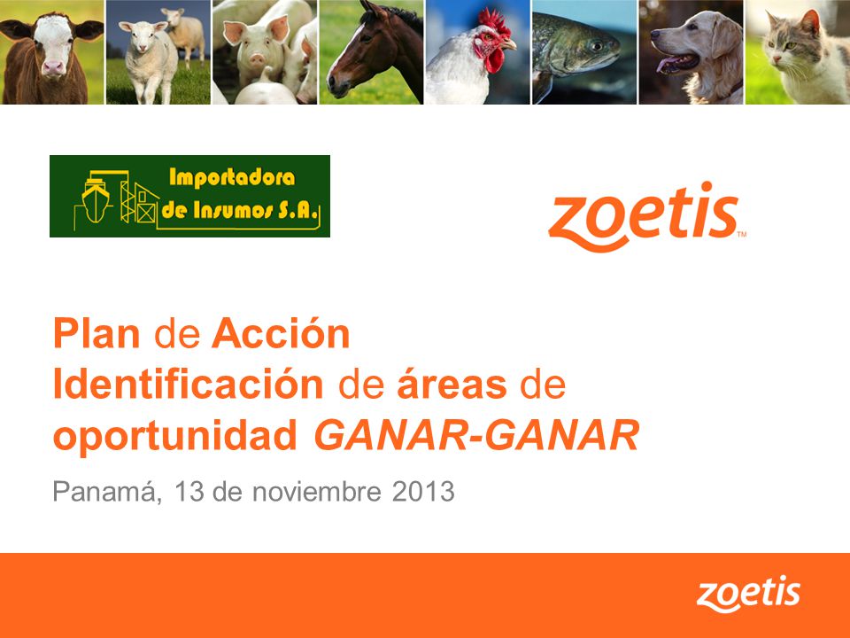 Plan de Acción Identificación de áreas de oportunidad GANAR-GANAR