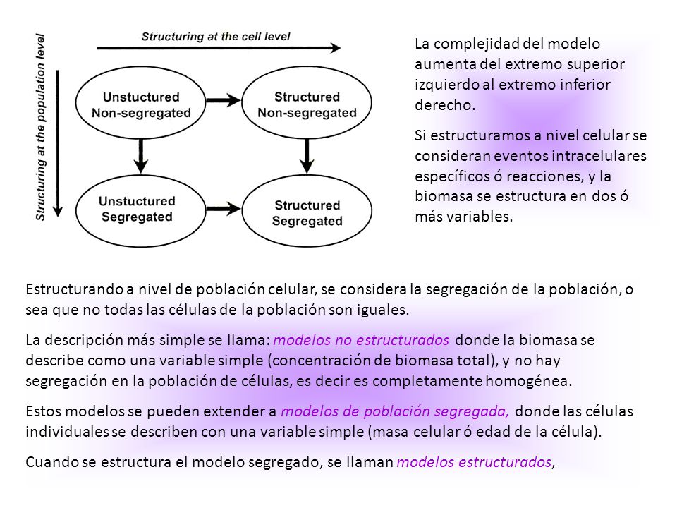 La complejidad del modelo aumenta del extremo superior izquierdo al extremo inferior derecho.