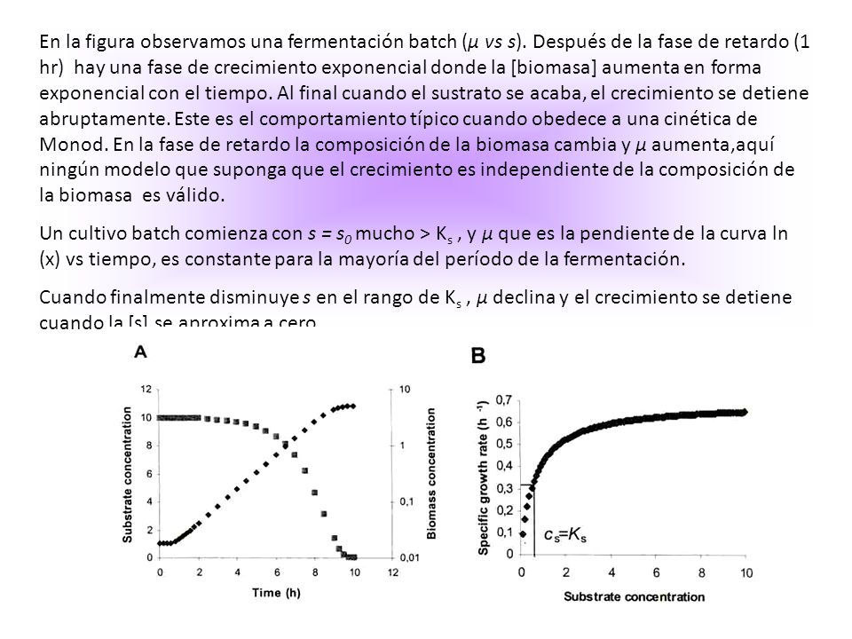 En la figura observamos una fermentación batch (μ vs s)