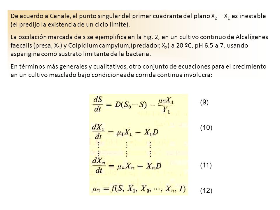 De acuerdo a Canale, el punto singular del primer cuadrante del plano X2 – X1 es inestable (el predijo la existencia de un ciclo límite).