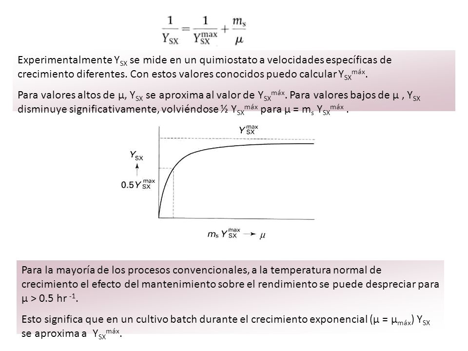 Experimentalmente YSX se mide en un quimiostato a velocidades específicas de crecimiento diferentes. Con estos valores conocidos puedo calcular YSXmáx.
