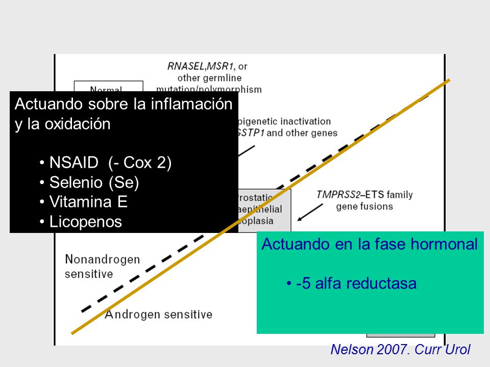 Actuando sobre la inflamación y la oxidación NSAID (- Cox 2)