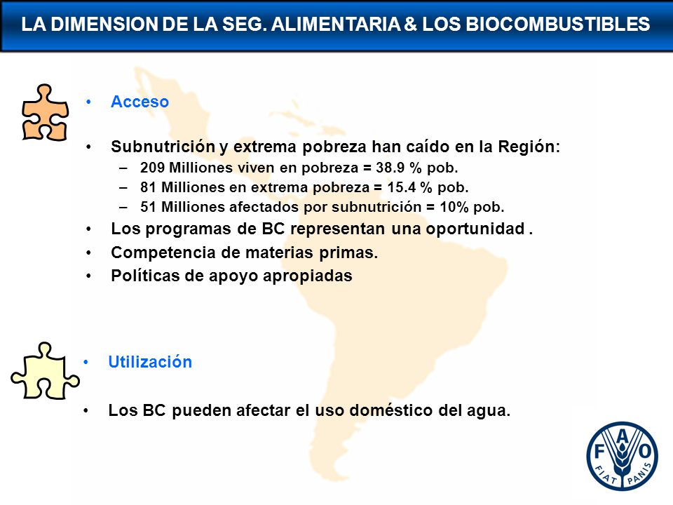 LA DIMENSION DE LA SEG. ALIMENTARIA & LOS BIOCOMBUSTIBLES