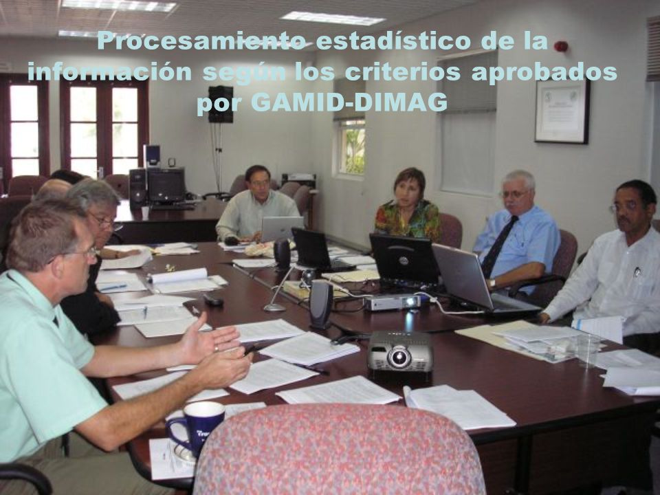 Procesamiento estadístico de la información según los criterios aprobados por GAMID-DIMAG