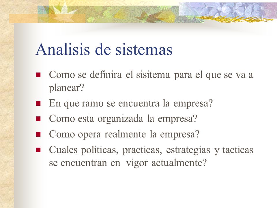 Analisis de sistemas Como se definira el sisitema para el que se va a planear En que ramo se encuentra la empresa