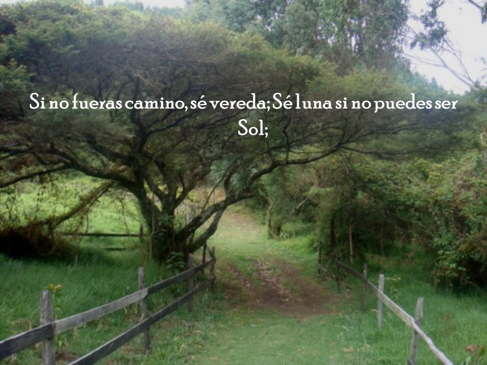 Si no fueras camino, sé vereda; Sé luna si no puedes ser Sol;