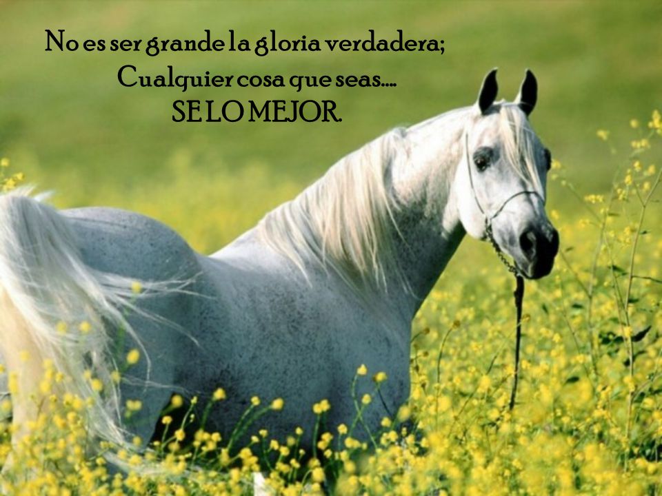 No es ser grande la gloria verdadera; Cualquier cosa que seas