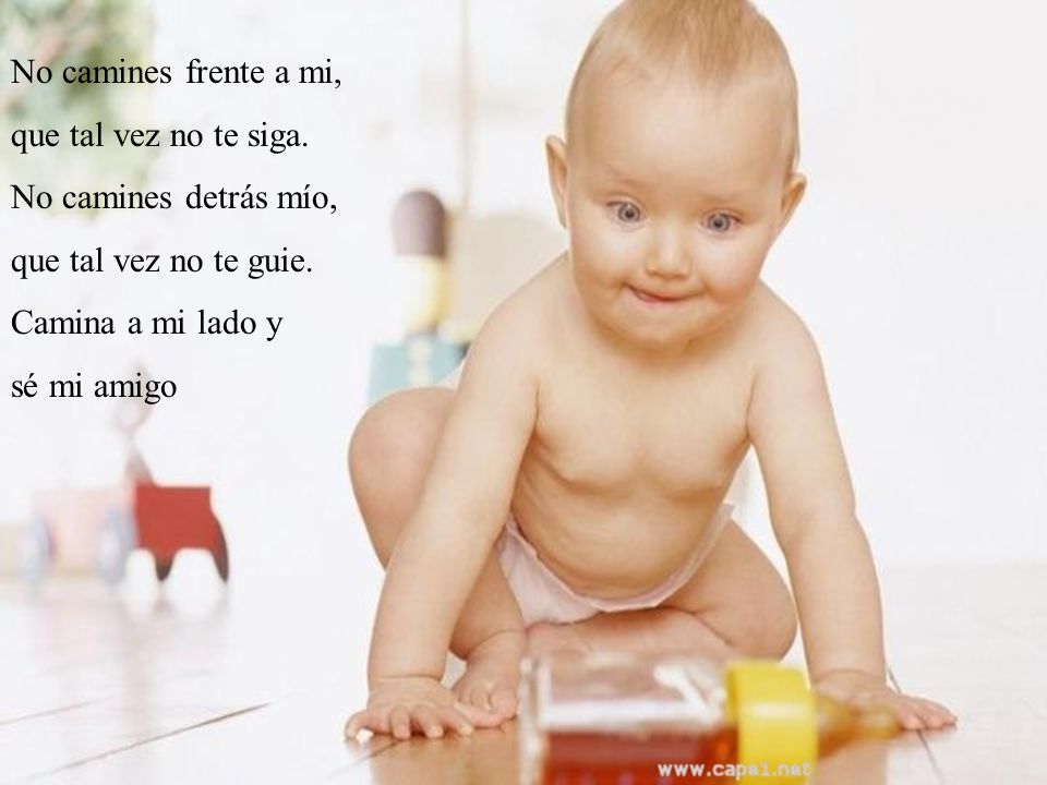 No camines frente a mi, que tal vez no te siga. No camines detrás mío, que tal vez no te guie. Camina a mi lado y.