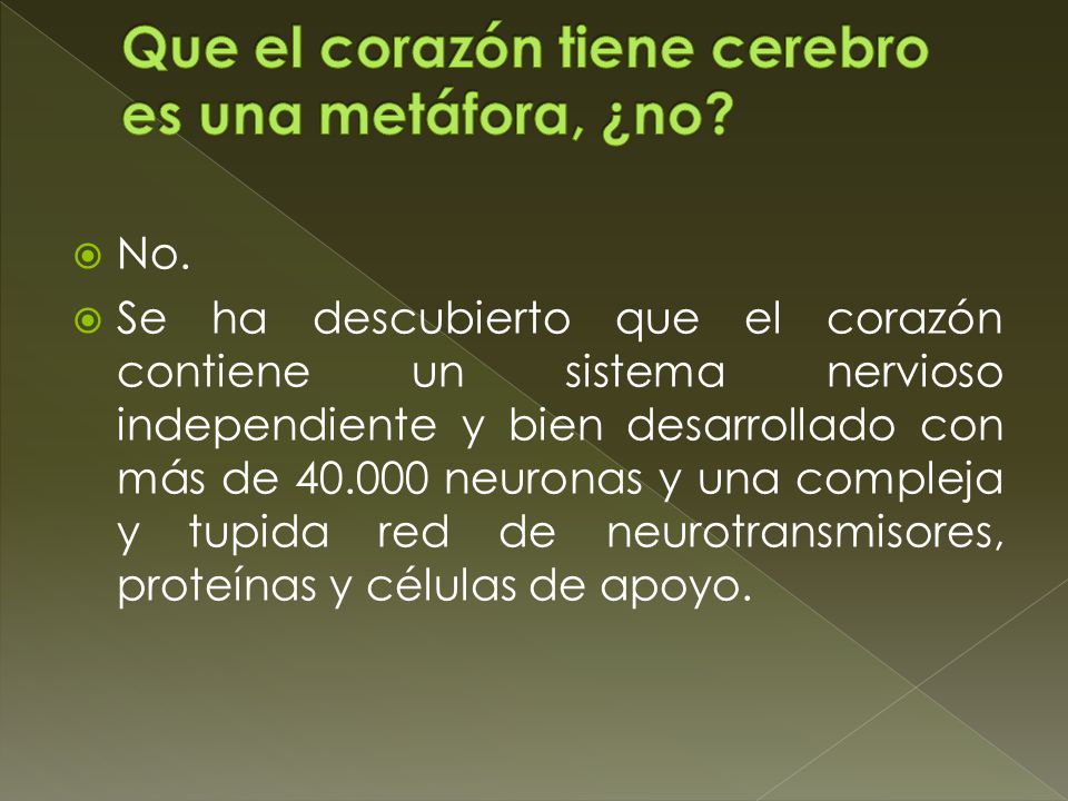 Que el corazón tiene cerebro es una metáfora, ¿no
