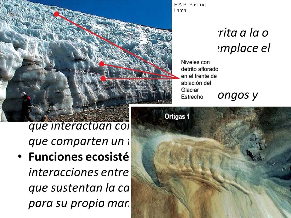 EIA P. Pascua Lama Otras definiciones: Entorno de un glaciar: área circunscrita a la o las hoyas hidrológicas en la cual se emplace el glaciar.