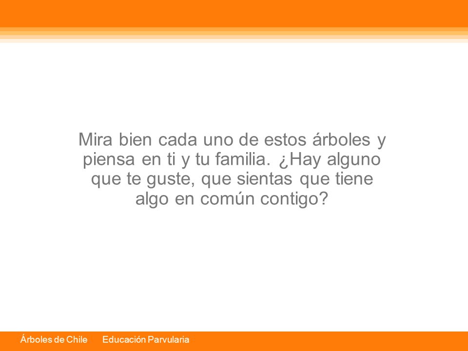 Mira bien cada uno de estos árboles y piensa en ti y tu familia