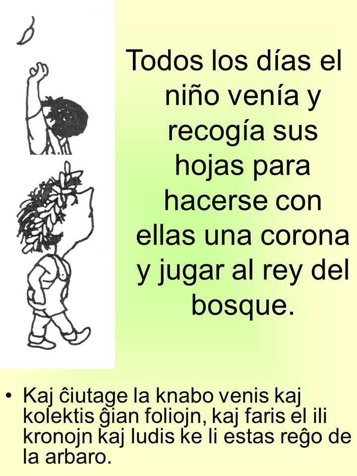 Todos los días el niño venía y recogía sus hojas para hacerse con ellas una corona y jugar al rey del bosque.
