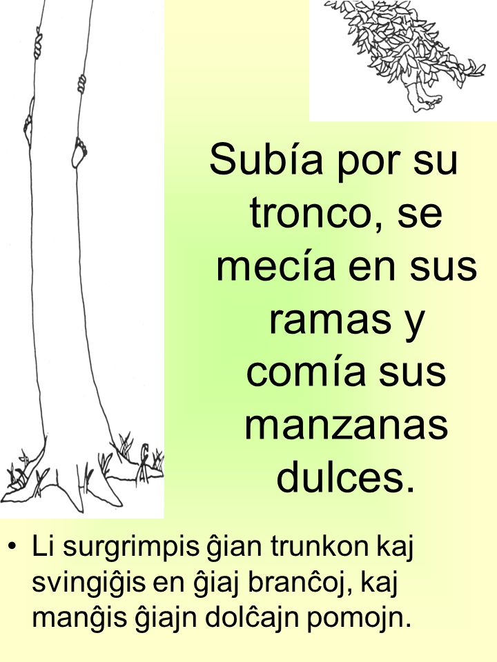 Subía por su tronco, se mecía en sus ramas y comía sus manzanas dulces.