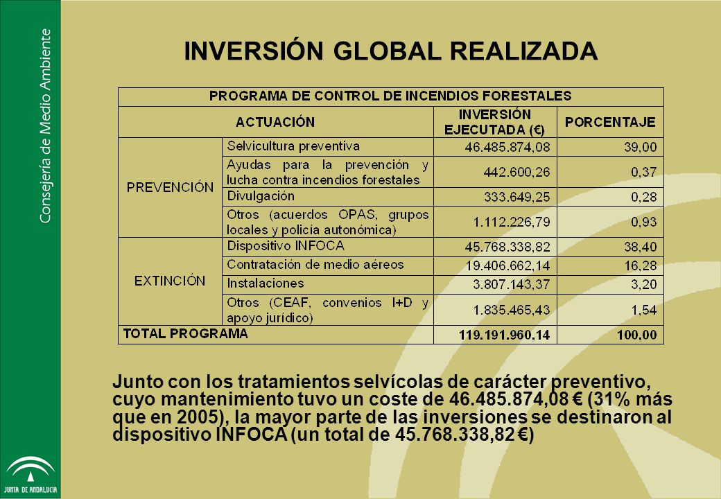 INVERSIÓN GLOBAL REALIZADA