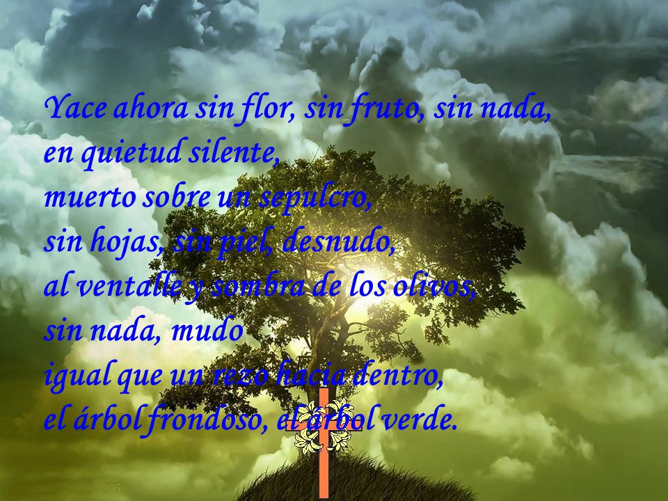 Yace ahora sin flor, sin fruto, sin nada,