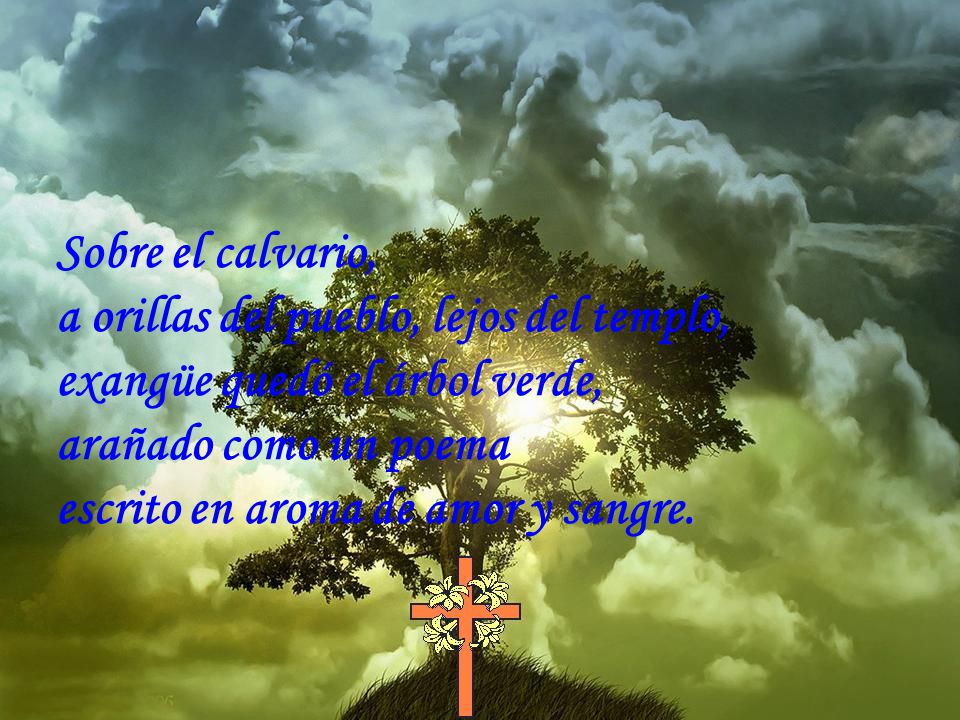 Sobre el calvario, a orillas del pueblo, lejos del templo, exangüe quedó el árbol verde, arañado como un poema.