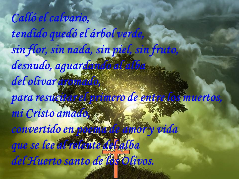 Calló el calvario, tendido quedó el árbol verde, sin flor, sin nada, sin piel, sin fruto, desnudo, aguardando al alba.