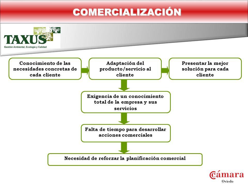 COMERCIALIZACIÓN Conocimiento de las necesidades concretas de cada cliente. Adaptación del producto/servicio al cliente.