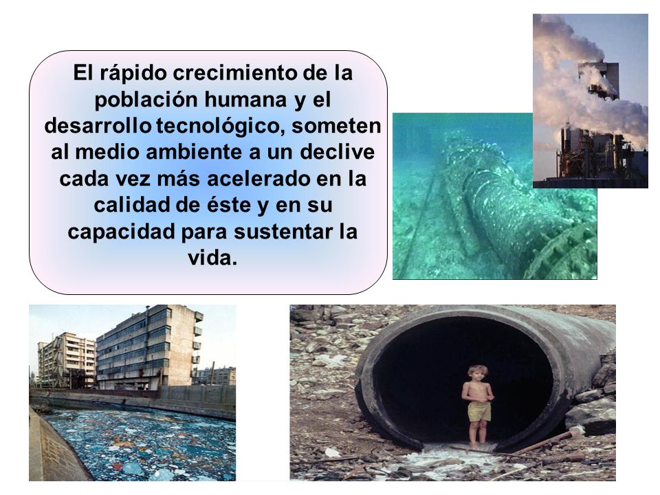 El rápido crecimiento de la población humana y el desarrollo tecnológico, someten al medio ambiente a un declive cada vez más acelerado en la calidad de éste y en su capacidad para sustentar la vida.