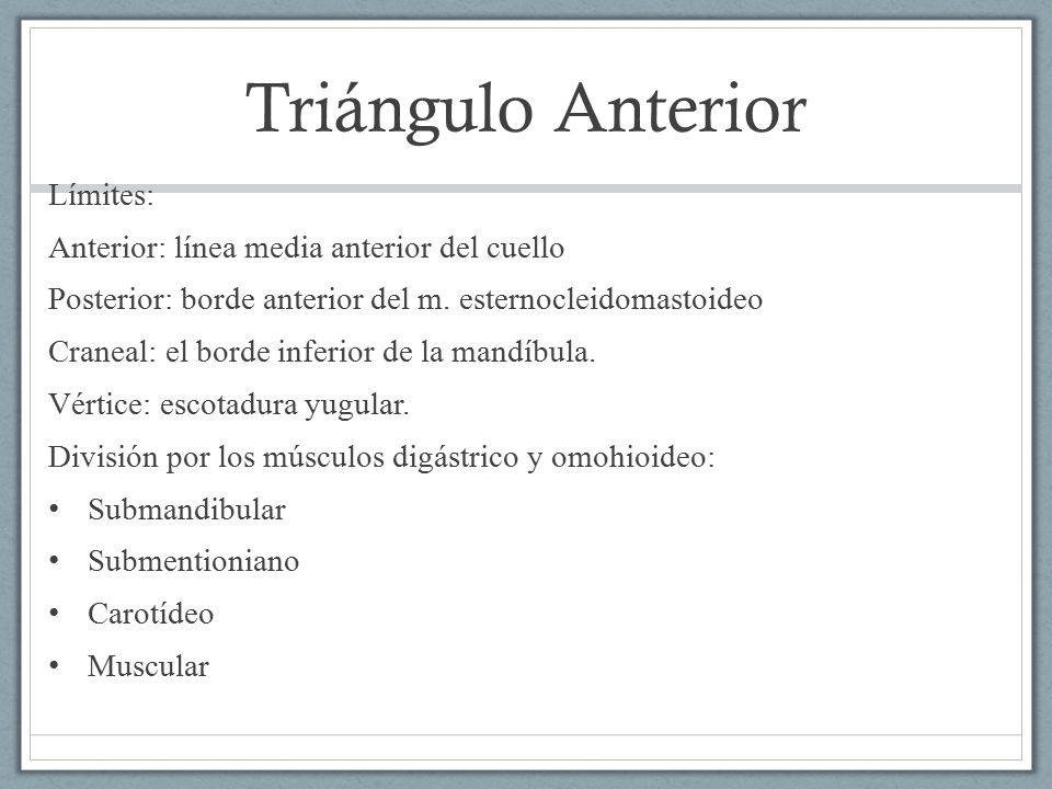 Triángulo Anterior Límites: Anterior: línea media anterior del cuello