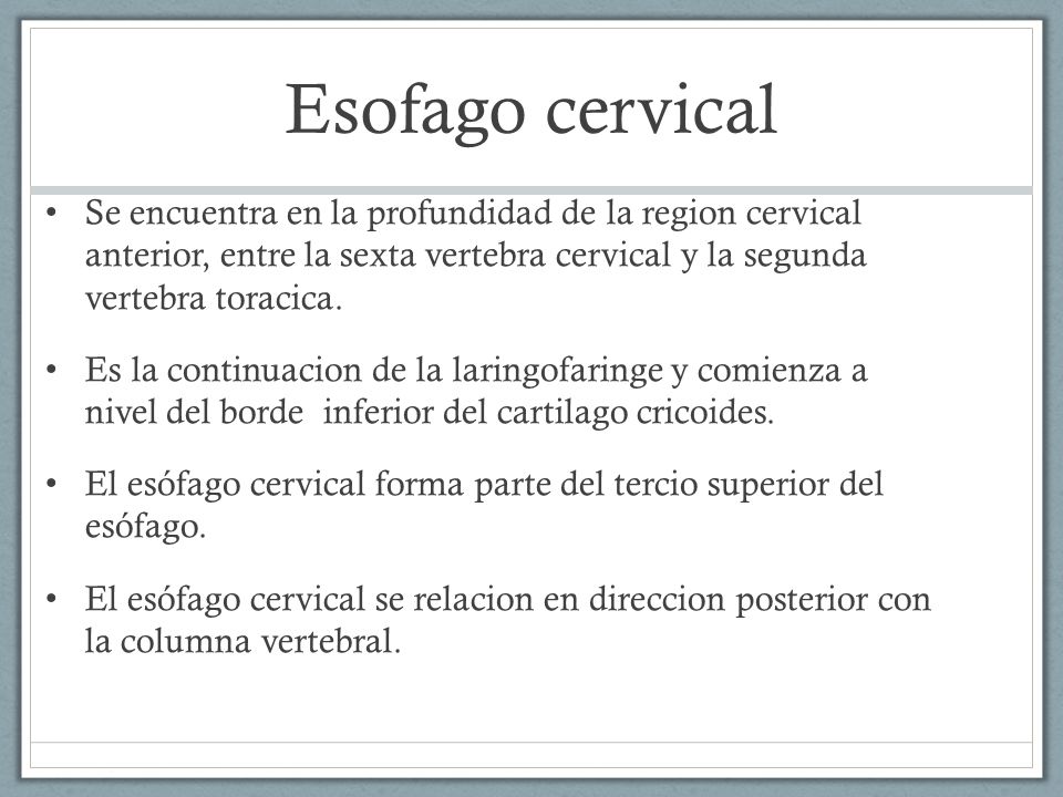 Esofago cervical Se encuentra en la profundidad de la region cervical anterior, entre la sexta vertebra cervical y la segunda vertebra toracica.