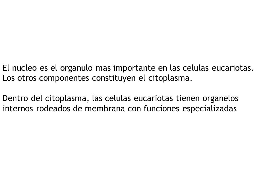 El nucleo es el organulo mas importante en las celulas eucariotas.