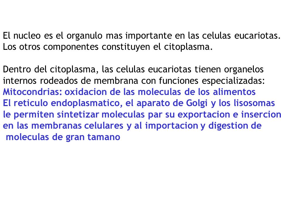 El nucleo es el organulo mas importante en las celulas eucariotas.