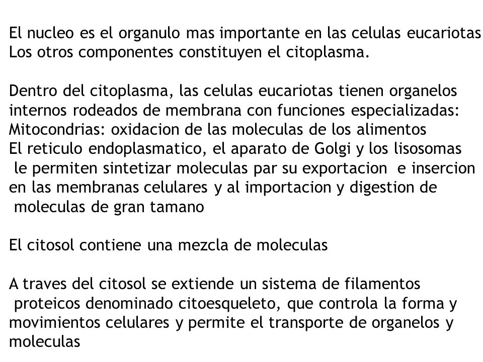 El nucleo es el organulo mas importante en las celulas eucariotas.