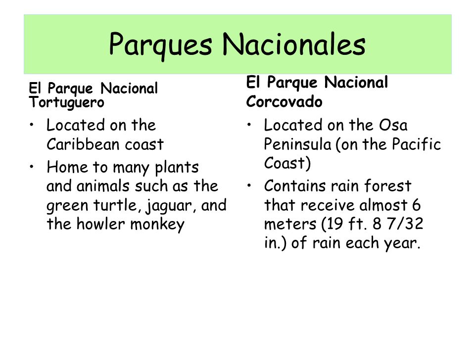 Parques Nacionales El Parque Nacional Corcovado